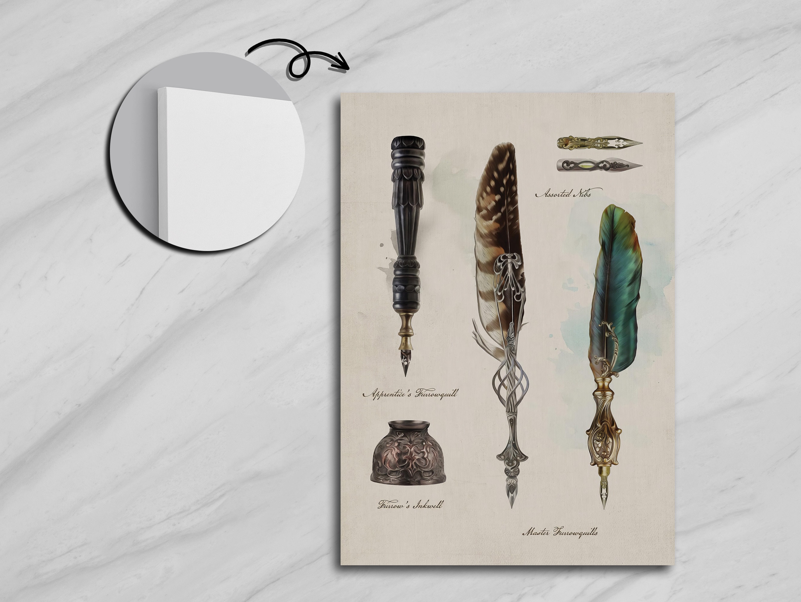 Feather Quills and Their Meanings,quill Art,feather Pen Illustrations