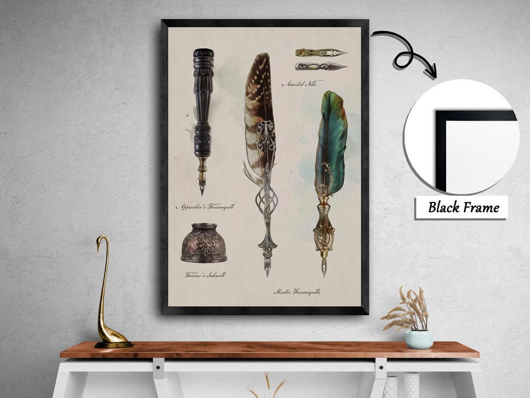 Feather Quills and Their Meanings,quill Art,feather Pen Illustrations