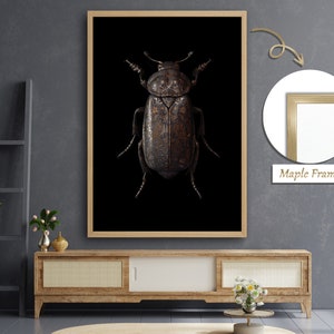 The Tempo of Nature: The World of the Earthling,"Dung Beetle Art, Insect Portrait Painting, Nature's Rhythms Decor, Exquisite Beetle Artwork