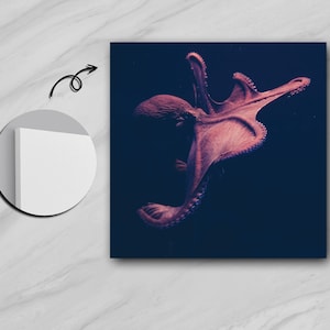Red Octopus Beneath the Waves,