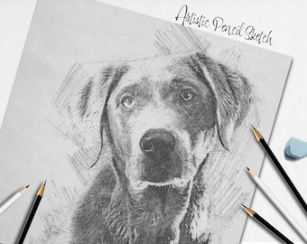 Puede incluir: Un boceto a lápiz en blanco y negro de la cabeza de un perro. El perro está mirando directamente al espectador. El boceto está sobre un fondo blanco. Hay lápices y una goma de borrar en la mesa junto al boceto.