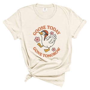 Camiseta Silly Goose, Camiseta com Humor Militar, Presente Engraçado Goose, Camiseta para Amantes de Goose, Goose Hoje, Camiseta Goose, Moda Silly Goose