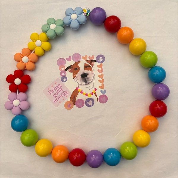 Regenbogen Perlen Hundehalsband: Elastisches Blumenhalsband, Fotorequisite