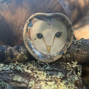 Hand Painted Barn Owl Pottery Dish | Stoneware Trinket Tray