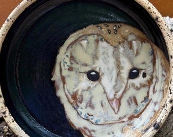 Hand-Painted Barn Owl Serving Platter with Handles, Collectible Stoneware