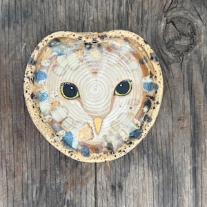 May include: A round ceramic dish featuring a hand-painted owl face. The center displays concentric circular textures forming the owl's facial disc with two large black eyes and a yellow beak. The rim has a speckled glaze in tan, blue, and brown.