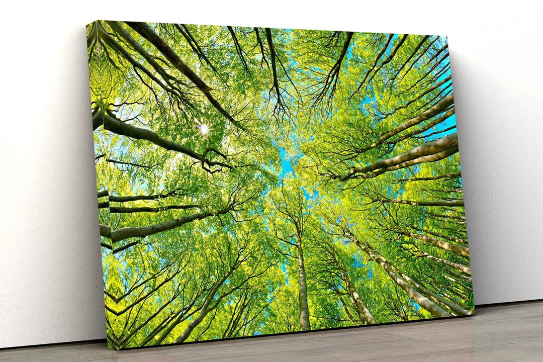 Branch Art Print, Tree Wall Art, Trees Canvas Print, Tree Branch Print