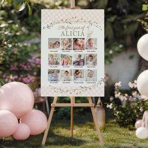 Silly Goose Milestone Sign, 1st 2nd birthday Milestone board, Girl Birthday Photo Collage Milestone 12 months | Editable Instant download