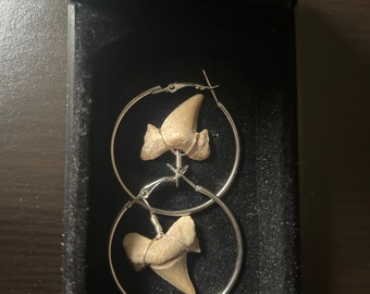 BREAKING NEWS - Earrings Shark Fossils Rare Best Gift For Her