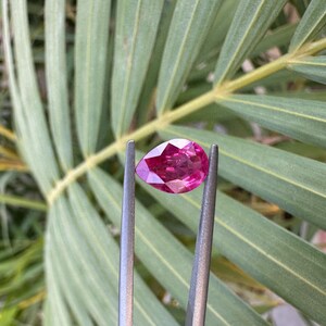 Könnte beinhalten: Ein birnenförmiger rosa Edelstein, der mit einer Pinzette vor einem grünen Blatt-Hintergrund gehalten wird.