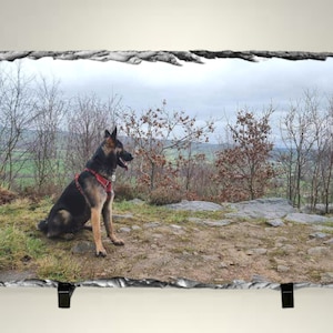 Pizarra de roca fotográfica personalizada / Regalo fotográfico / Regalo de boda personalizado / Regalo del Día de las Madres / Regalo de cumpleaños de pizarra fotográfica