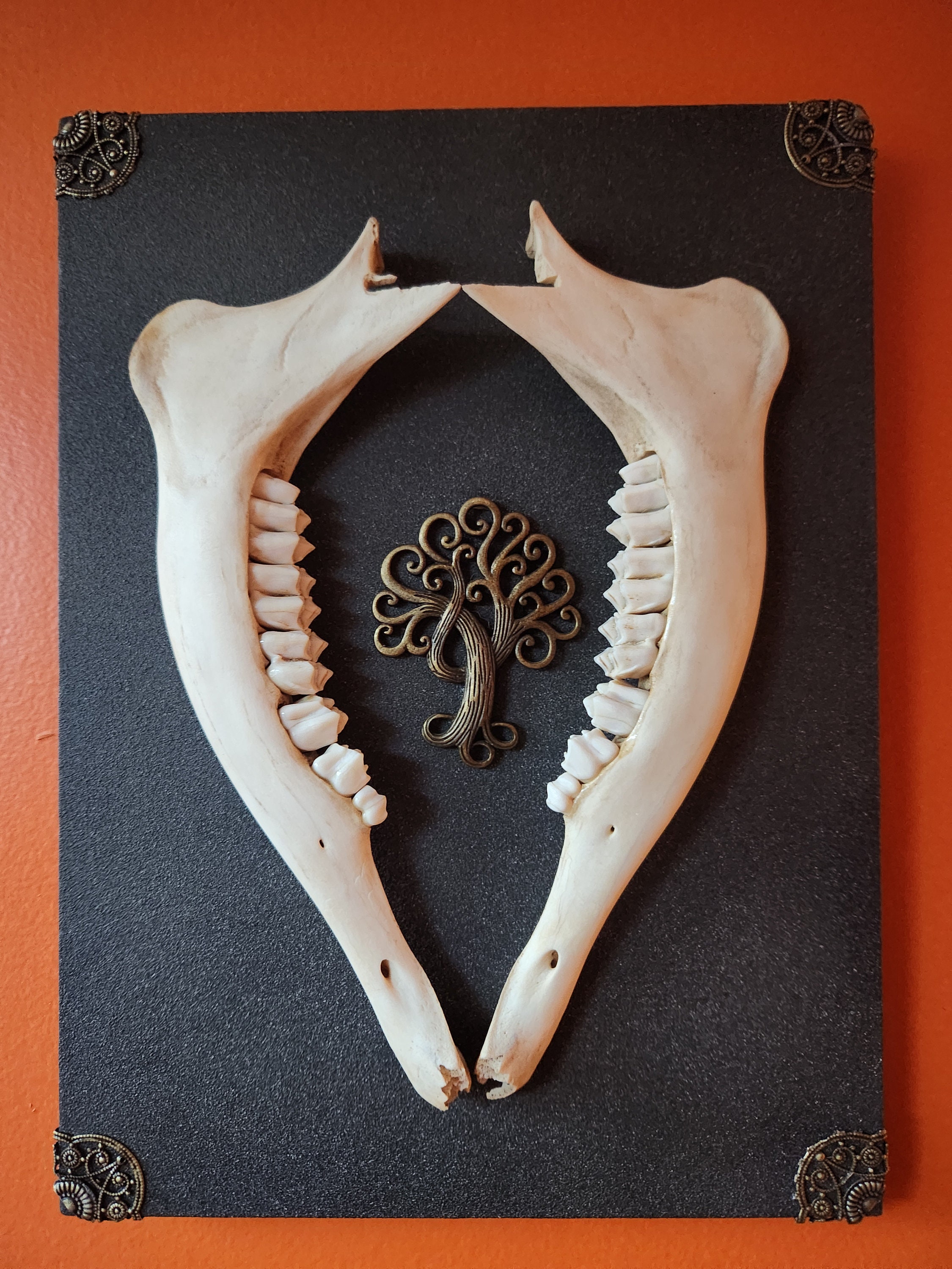 Deer Jaw Bone Wall Hanging Tree of Life Symbol Etsy