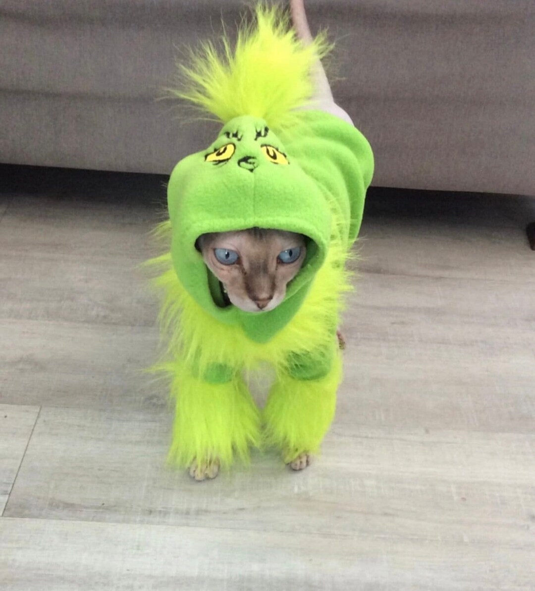 Grinch Pet Outfit Etsy