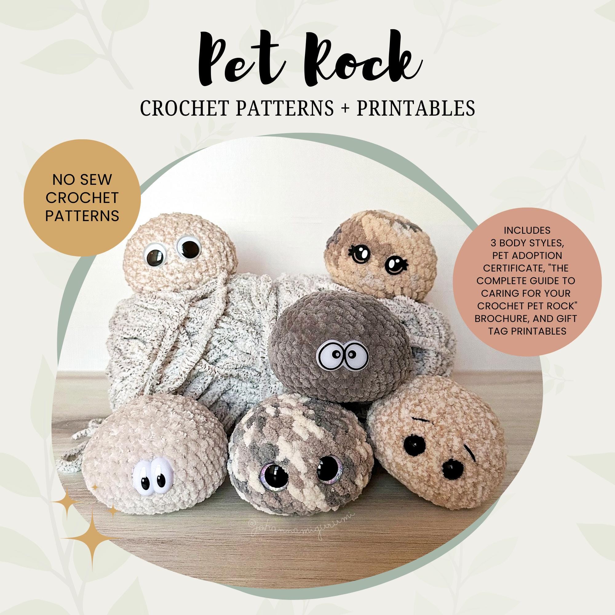 pet-rock-adoption-printable-etsy