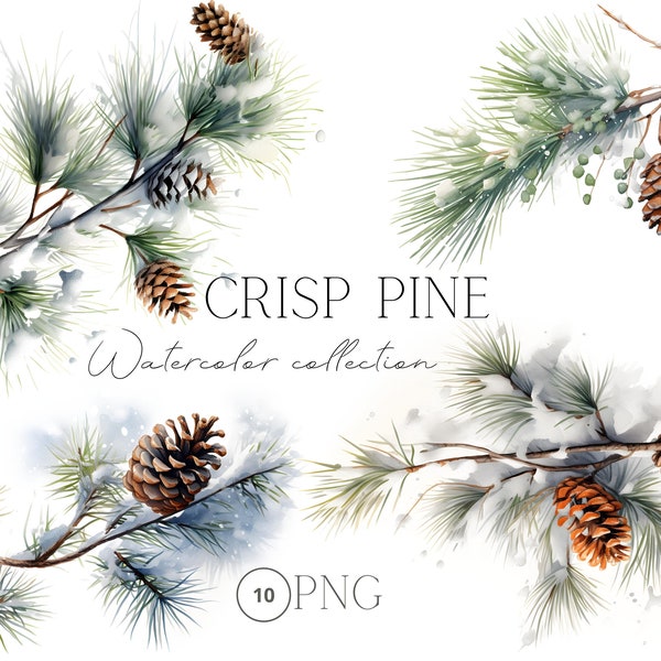 Pine Branch Winter Watercolor Clipart, Snow Covered Fir Branch, Christmas Decorations, Holiday Invitations, Commercial Clipart