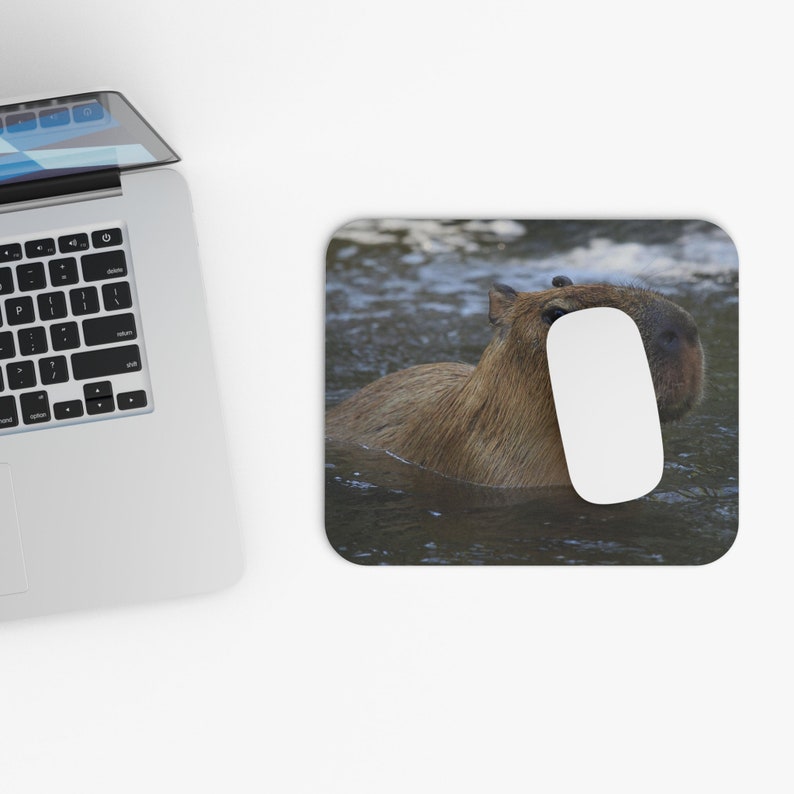 Capybara Mouse Pad - Etsy