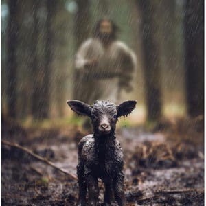 Christ Will Save the Lamb Digital Download