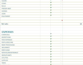 Landwirtschaftliche Steuertabelle, Einnahmen- und Ausgabenübersicht (Anlage F), Excel-Vorlage für die Buchhaltung von Ranchbetrieben