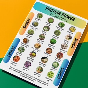 High Protein Vegetable Food Chart Printable, Digital Vegetable Protein Chart , Protein Power Poster, High Protein Vegetable List