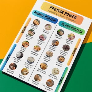 High Protein Food Chart Printable, Digital Protein Chart Animal Protein vs Plant Protein, Protein Power Poster, High Protein Foods List