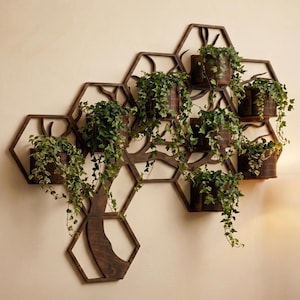 Può includere: Una fioriera da parete in legno con un design ad albero. Presenta più ripiani esagonali, ognuno con un piccolo vaso marrone pieno di piante verdi. Le viti pendenti creano un'esposizione naturale e decorativa.