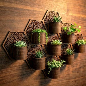 Könnte beinhalten: Eine Wandhalterung für Pflanzen aus Holz mit neun kleinen, zylindrischen Pflanzgefäßen, die jeweils eine andere Sukkulente oder Hängepflanze enthalten. Die Pflanzgefäße sind vor aufwendig geschnitzten, sechseckigen Holzpaneelen mit einem dekorativen Muster angeordnet. Das Holz hat einen warmen, braunen Farbton.