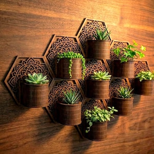 Laser Cut Mandala Wall Planter SVG  | Honeycomb | Digital Download | Geometric Wall Art