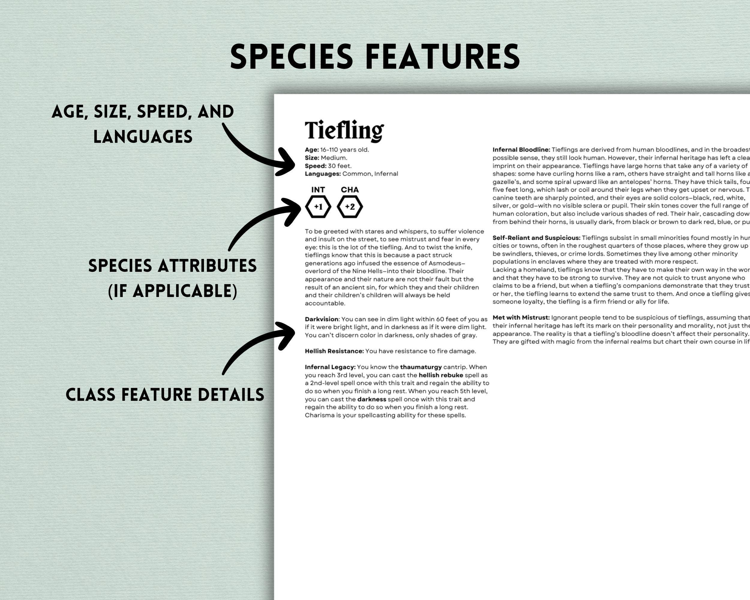 Dnd 5e Class Reference Sheets: Species, Origins, Feats (letter & A4 ...