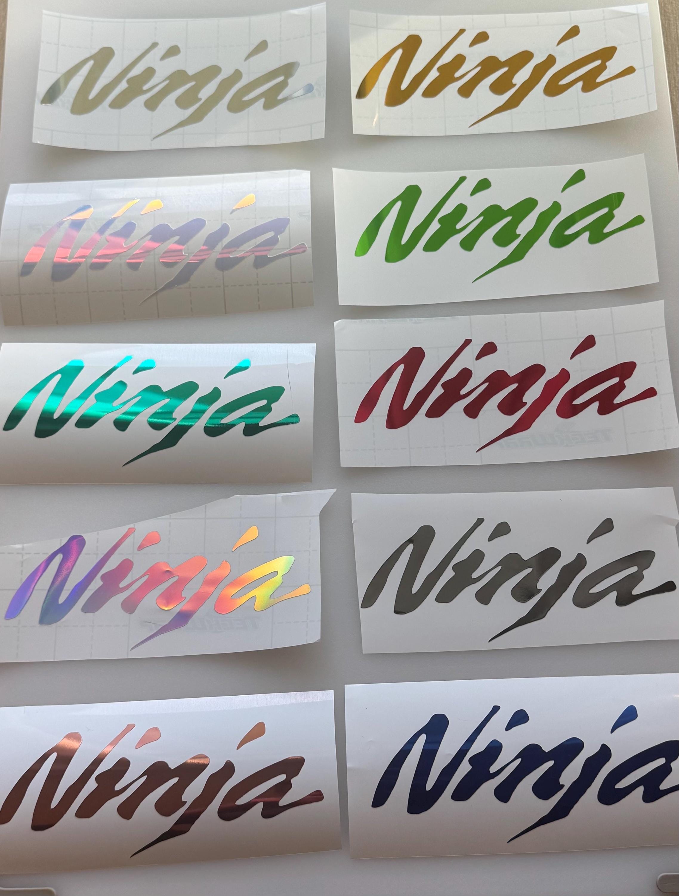 Kawasaki Zx-6r Chrome Factory Ninja Sticker Set 636 - Etsy