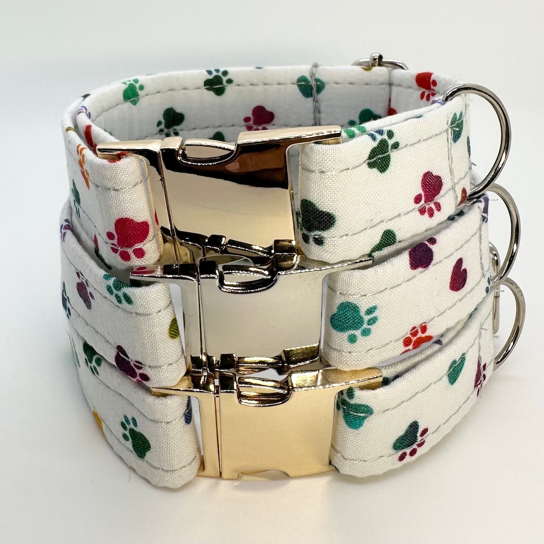 Rainbow Paw Dog Collar Etsy