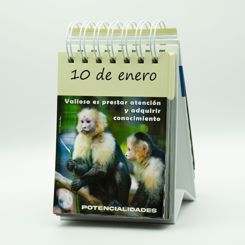 SPANISH Perpetual Desk Flip Calendar Daily Positive Inspirational