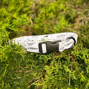 The woodland collar 1”