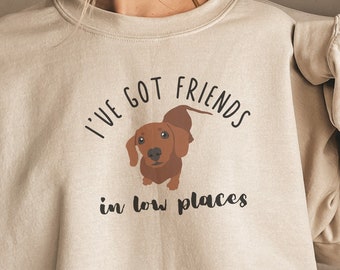 Dachshund Sweatshirt, Wiener Shirt, Dachshund Mom Shirt, Funny Dog Shirts, Funny Gift for Dachshund Owner, I've Got Friends in Low Places