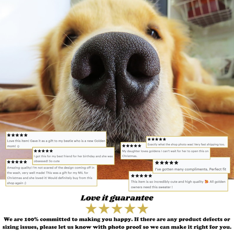 Puede incluir: Primer plano de la nariz de un golden retriever. El perro est&aacute; mirando directamente a la c&aacute;mara. La imagen se utiliza para promocionar un producto que garantiza la satisfacci&oacute;n del cliente. El texto "Love it guarantee" se muestra con cinco estrellas doradas.