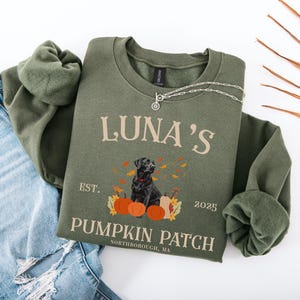 May include: An olive green sweatshirt with the text "LUNA'S PUMPKIN PATCH" and a graphic of a black dog surrounded by pumpkins and autumn leaves. The sweatshirt is paired with blue jeans.