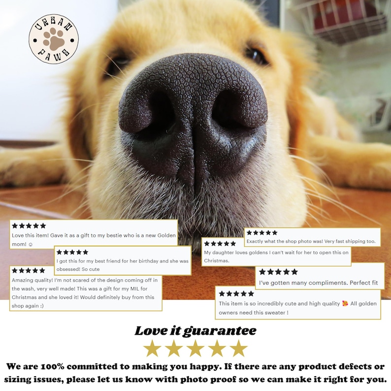 May include: Close-up of a golden retriever's nose. The dog is wearing a sweater with the text "Love it guarantee" and five stars below it. The image includes customer reviews about the sweater.