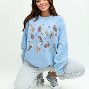 May include: A light blue sweatshirt with a pattern of owls and flowers. The owls are in various poses and colors, and the flowers are in shades of pink, purple, and yellow.