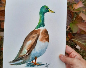 Watercolor Mallard Duck Painting,  Handmade Duck illustration wall art,kids room gift