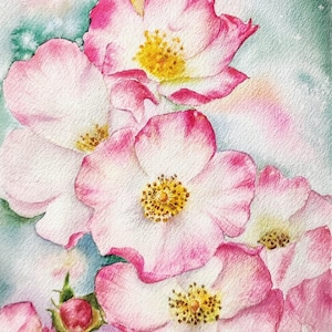 Dipinto di rosa selvatica di una bellezza unica, acquerello originale, regalo per gli amanti dei fiori