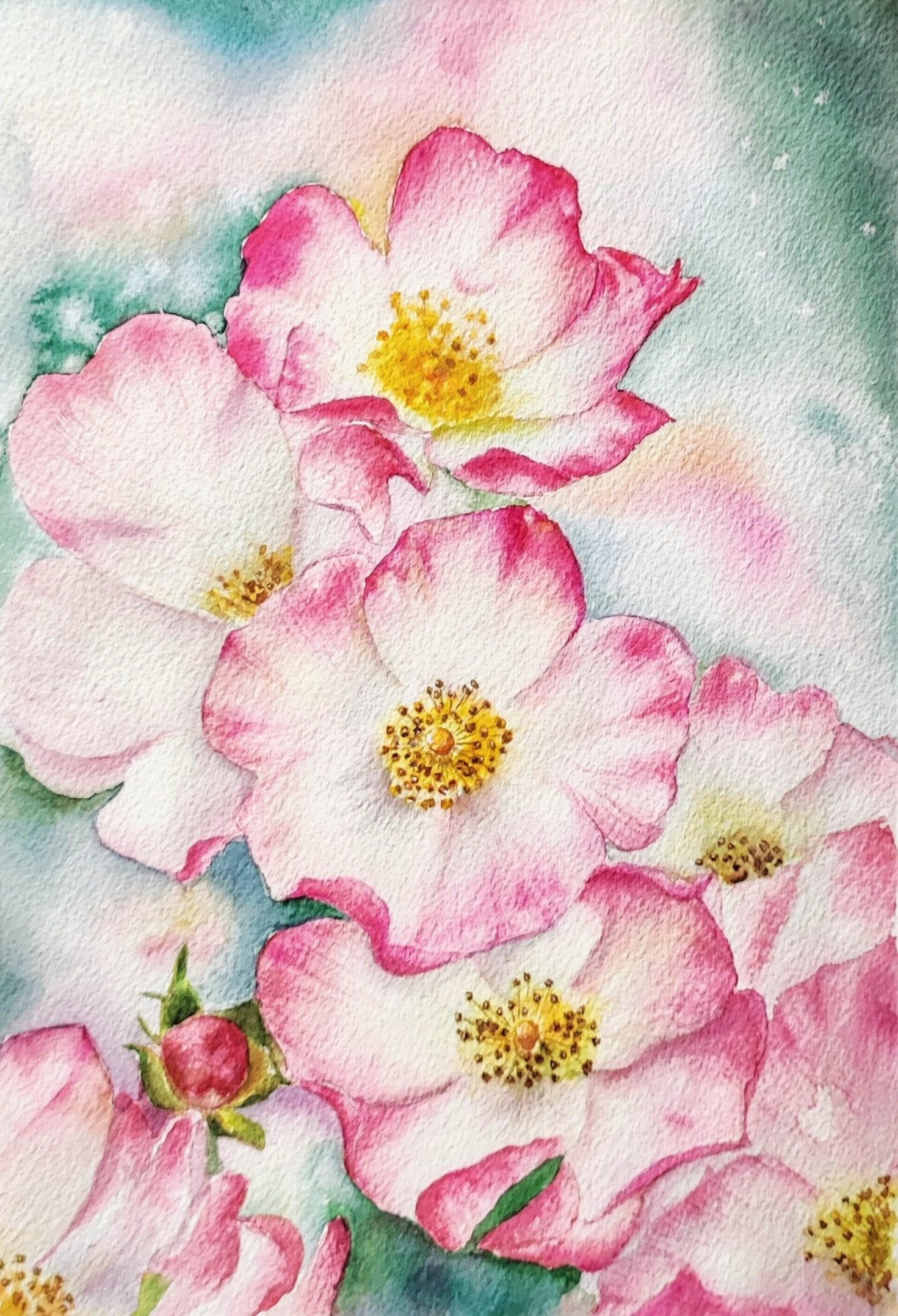 Original Watercolor Pink Wild Roses Painting: Floral Wall Art - Etsy