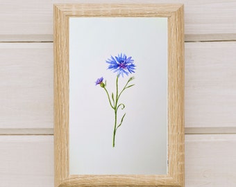 original watercolor cornflower(unprinted and physical product), June  birth flower gift for mother, personalized blue flower