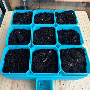 May include: A blue plastic tray with nine individual compartments filled with dark brown soil. The tray has a small blue plastic reservoir at the bottom.
