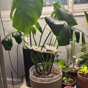 3D Printed Monstera Styled Plant Support Stake ~ Indoor Plant Trellis ~ Custom Color Plant Holder ~ House Plant Supports ~ Botanical Support