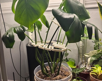 Estaca de soporte para plantas con estilo Monstera impresa en 3D ~ Enrejado para plantas de interior ~ Soporte para plantas de color personalizado ~ Soportes para plantas de interior ~ Soporte botánico