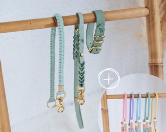 Mix & Match Bundle | 3-piece leash + leather collar in spring colors | PASTEL DREAMS COLLECTION