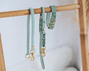 Mix & Match Set | 2-teilige Leine + Lederhalsband in Frühlingsfarben | PASTEL DREAMS COLLECTION