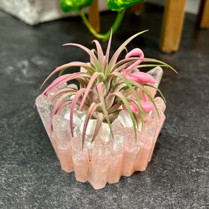 Könnte beinhalten: Ein kleiner, rosa geometrischer Harztopf mit Glitzerakzenten, der eine rosa und grüne Luftpflanze und dekorative weiße Steine enthält. Eine kleine rosa Flamingo-Figur befindet sich ebenfalls im Topf. Der Hintergrund umfasst eine grüne Pflanze und Holzmöbel.