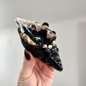 May include: A shell-shaped decorative bowl made of clear and black resin. The interior and rim are embedded with small, light-coloured natural seashells and dark stones, creating a contrast against the deep black, glossy base of the object.