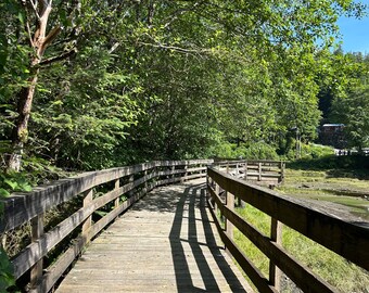 Park Bridge