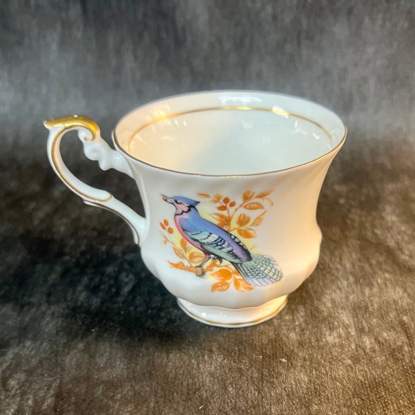 Rosina Queens "Birds of America", Blue Jay Tea Cup, English Fine Bone China, Series 1, Footed Teacup, Gold Trim 1960s